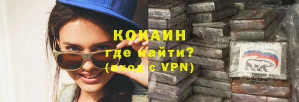 индика Зерноград