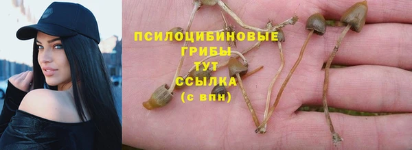 индика Зерноград