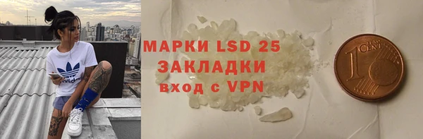 индика Зерноград