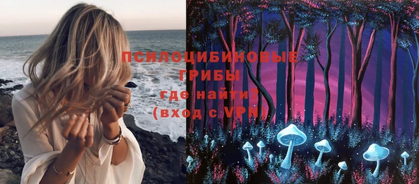 стафф Зеленокумск