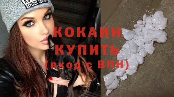 индика Зерноград