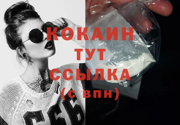 индика Зерноград