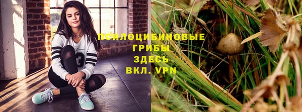 стафф Зеленокумск