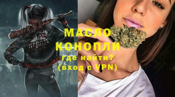 гашик Инта