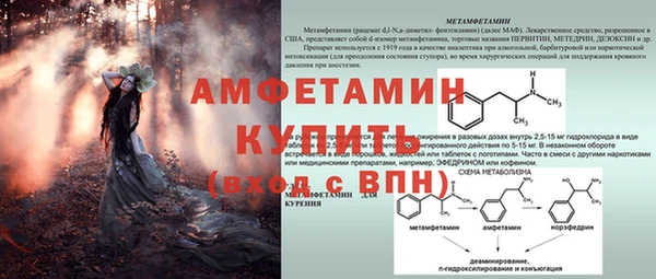 индика Зерноград