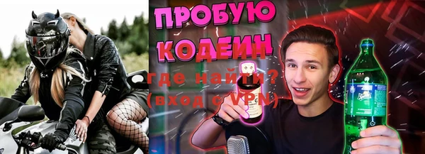 гашик Инта