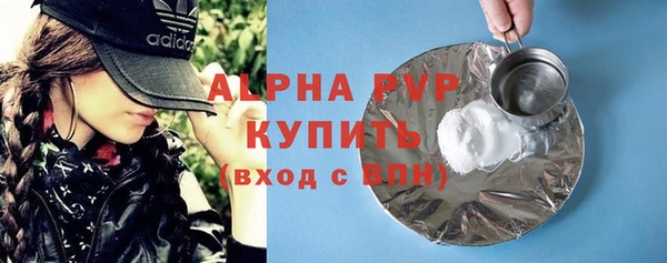гашик Инта