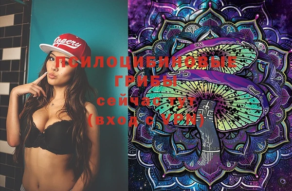 стафф Зеленокумск