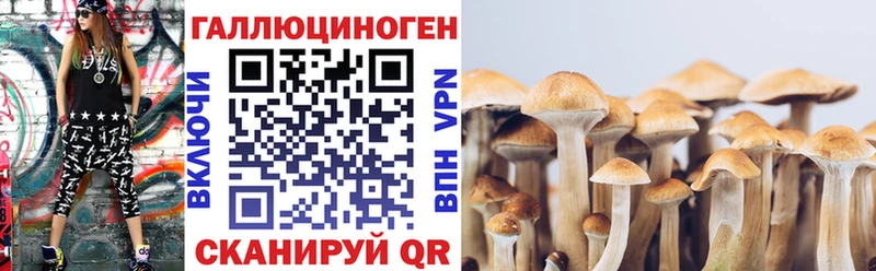 Купить закладки  Сосновоборск  Псилоцибиновые грибы Psilocybe 