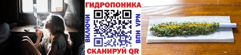 Шишки марихуана THC 21%  Купить  Сосновоборск 